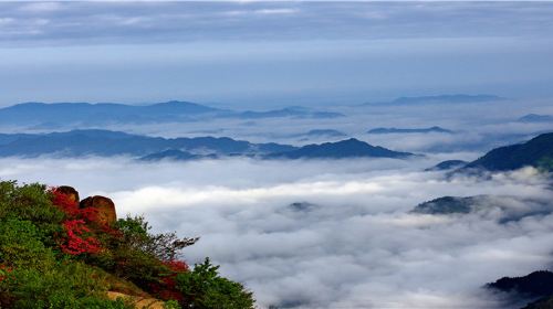 蓮峰雲海景勝地