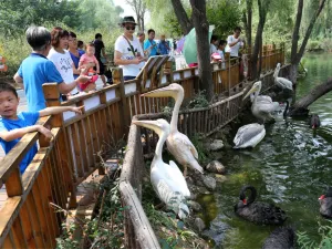 Wild World Jinan China