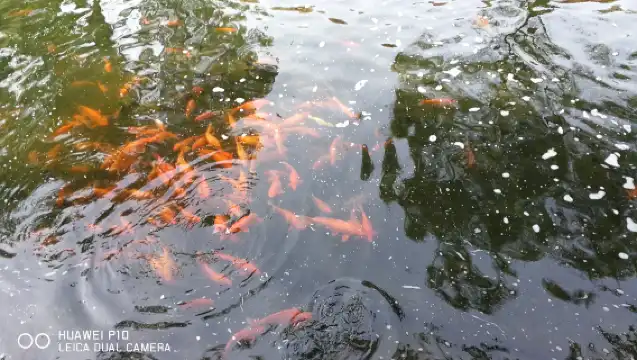 天壇+恭王府+北海公園一日遊【觀秋景.導遊導覽.可選上門接】