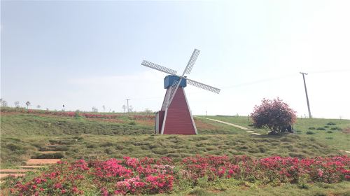 Xichang Four-Season Flower Sea