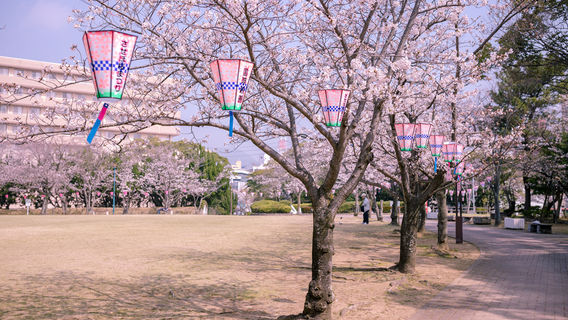 Saikai National Park