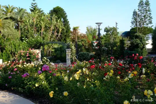 格蕾絲王妃玫瑰園附近的飯店