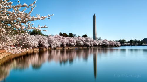 Washington Monument