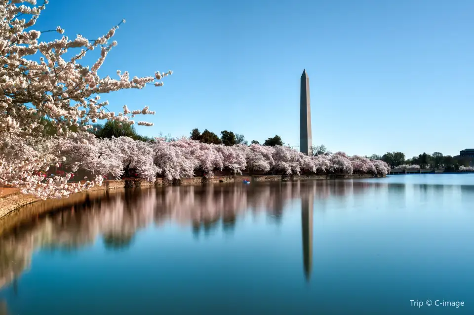 3_Washington Monument