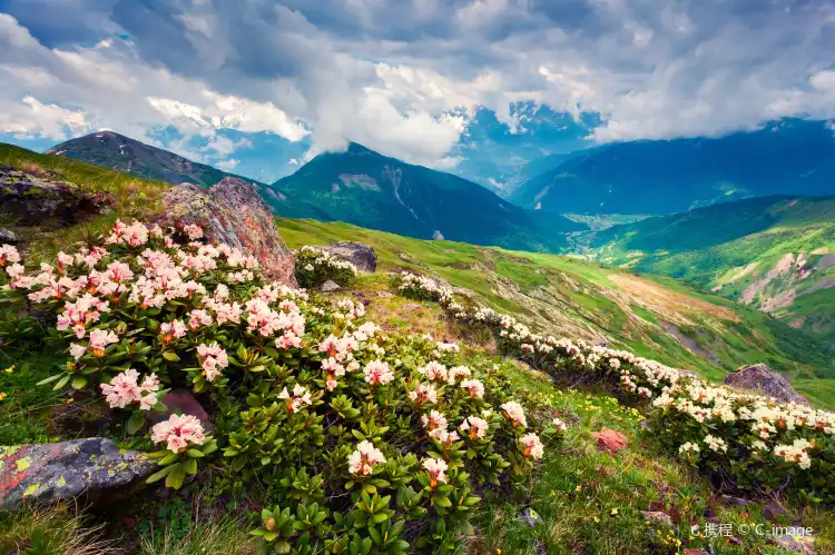 Apartments in Georgia