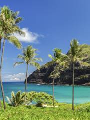 Makapu‘u Point