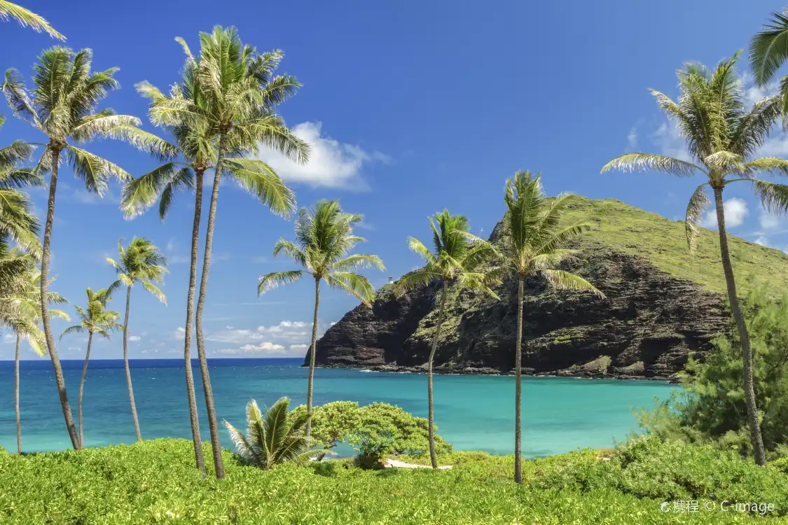 Hotel in zona Makapuu Point