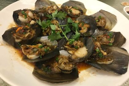 North Sea Fishing Village