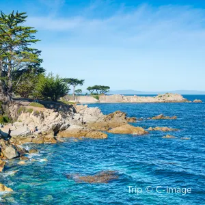 Monterey County+Carmel-by-the-Sea+San Luis Obispo County+Santa Monica+Big Sur+Solvang+Half Moon Bay+Stanford+Santa Barbara 3-day, 2-night travel guide 2026: Discover top activities with an easy itinerary planner (updated September)
