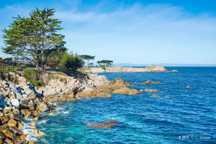 Hotels in Monterey County