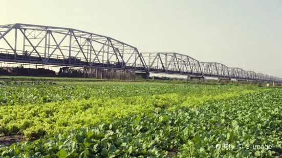 台灣西螺大橋