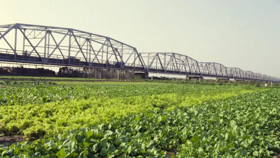 台灣西螺大橋