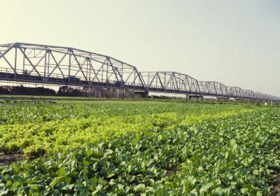 台灣西螺大橋