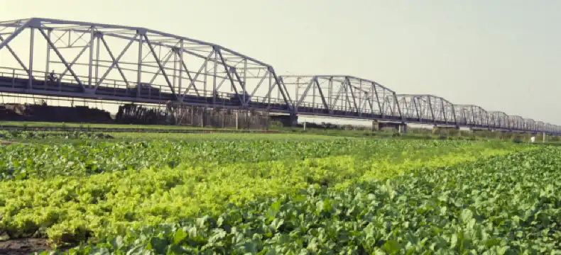 Hotels in Beigang Town