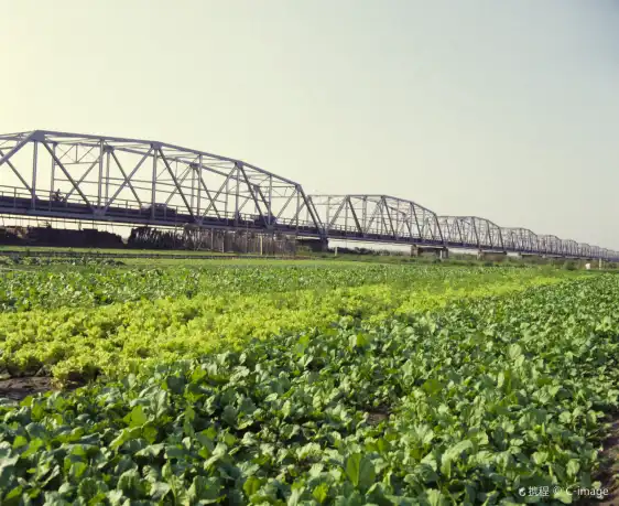 Các khách sạn gần Green Lake