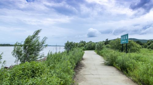 Treasure Island Wetland Park