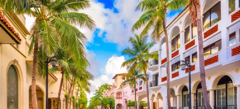 팜 비치 주변 호텔