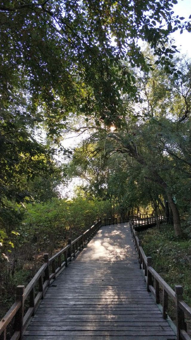 大島植物園