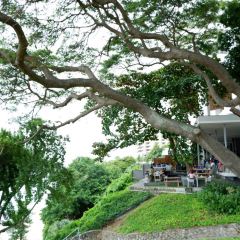 The Sky Gallery Pattaya User Photo