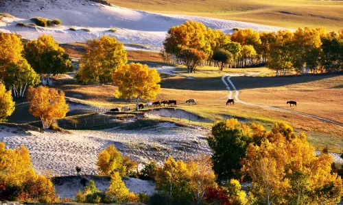 Wulanbutong Steppe Tourist Area