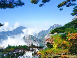 Huangshan Scenic Area