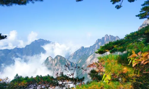 Huangshan Scenic Area