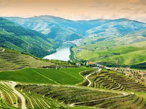 Douro Valley