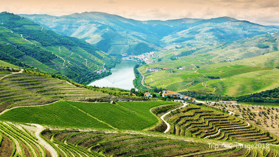 Douro Valley