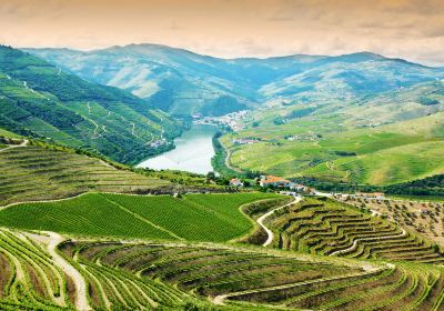 Douro Valley