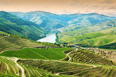 Douro Valley