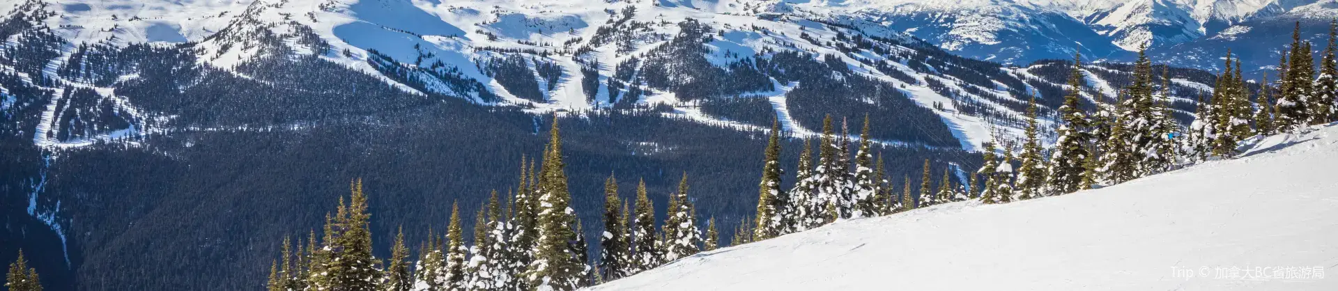 Ski Resorts