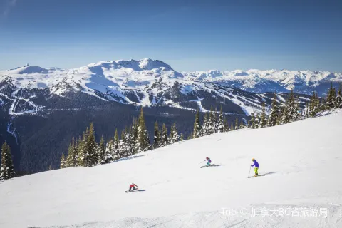 Whistler Blackcomb