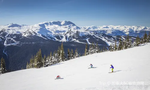 Whistler Blackcomb