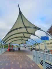 MacDill Park on the Riverwalk