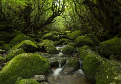 屋久島町