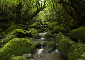 Hotel dekat Kambakamaboko Kagoshima Nishida