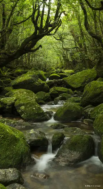 Hotels in Nishinoomote