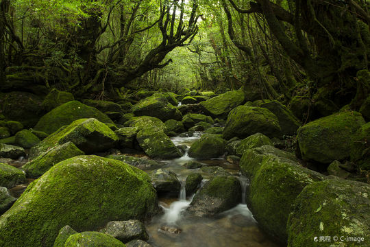 屋久島