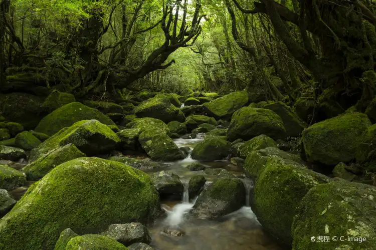 Hotels in Nishinoomote