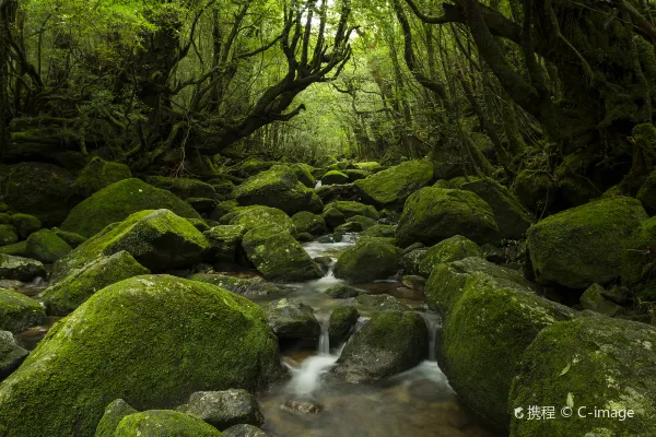 Hotels in Yakushima