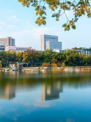 雨湖公園