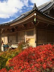 Tokkosan Kaburai Temple