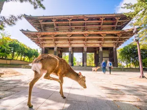 Tōdai-ji