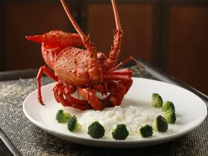 신룽지/신영기-시시/서계 습지점