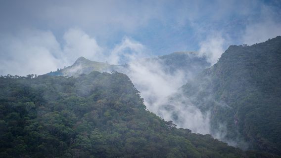 Nuwara Eliya District