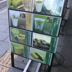 사와와 오타루점 여행 사진