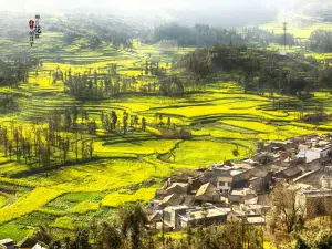 Luosi Field
