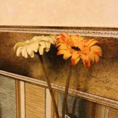 HUAZHUSHIFU User Photo