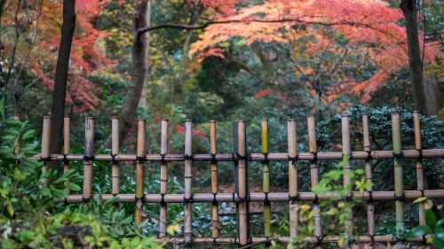 明治神宮+新宿御苑+千鳥淵公園+明治神宮外苑+豐川稻荷東京別院一日遊