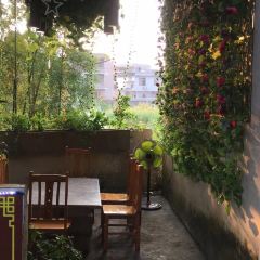 黄姚大樟树农庄 User Photo
